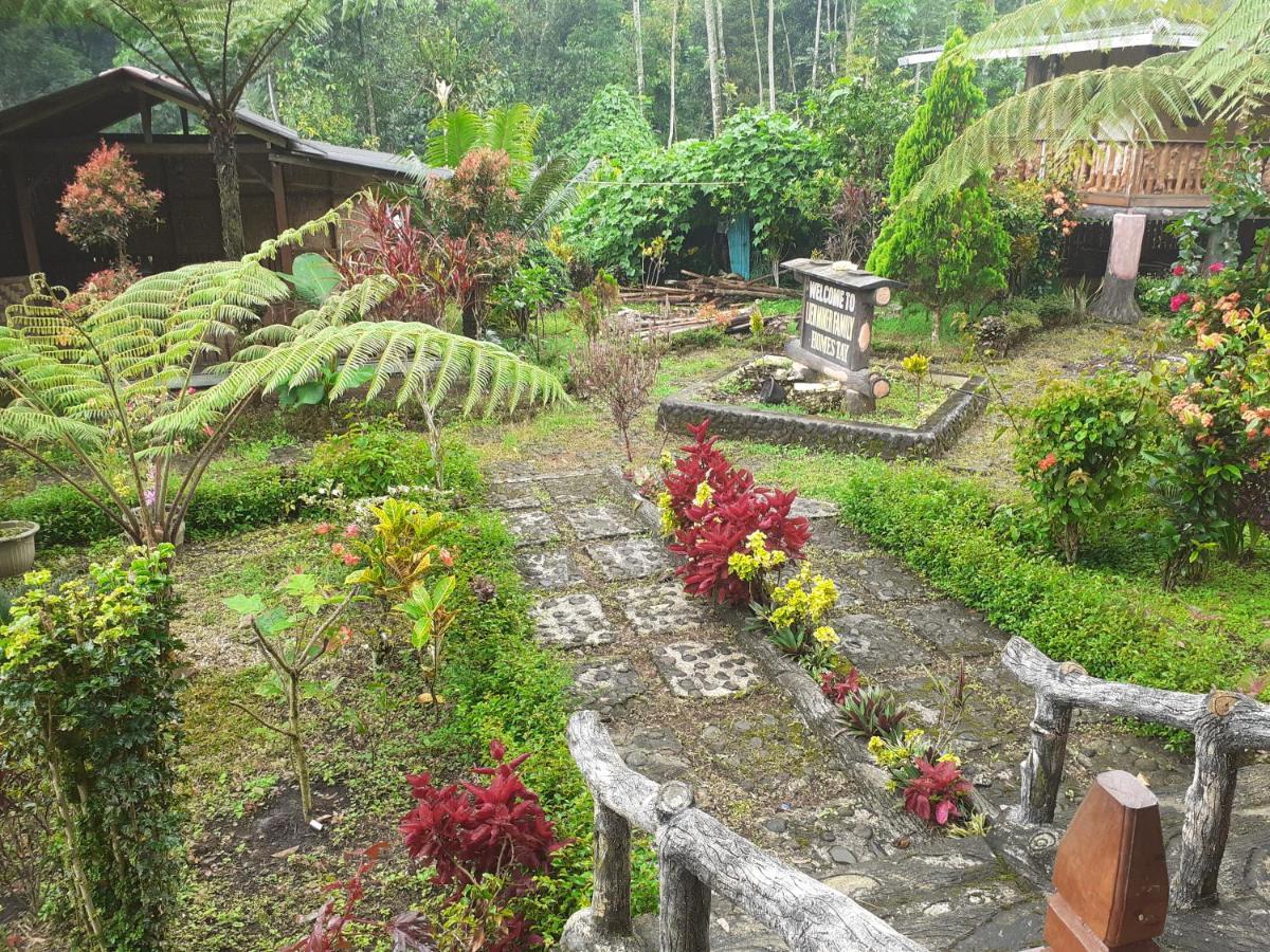 Ijen Miner Family Homestay Banyuwangi  Exteriér fotografie