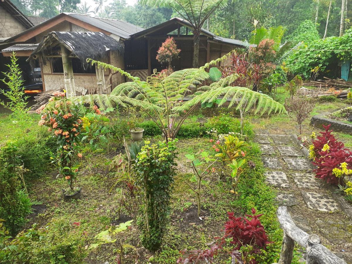 Ijen Miner Family Homestay Banyuwangi  Exteriér fotografie